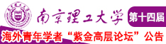 鸡巴插洞在线69南京理工大学第十四届海外青年学者紫金论坛诚邀海内外英才！